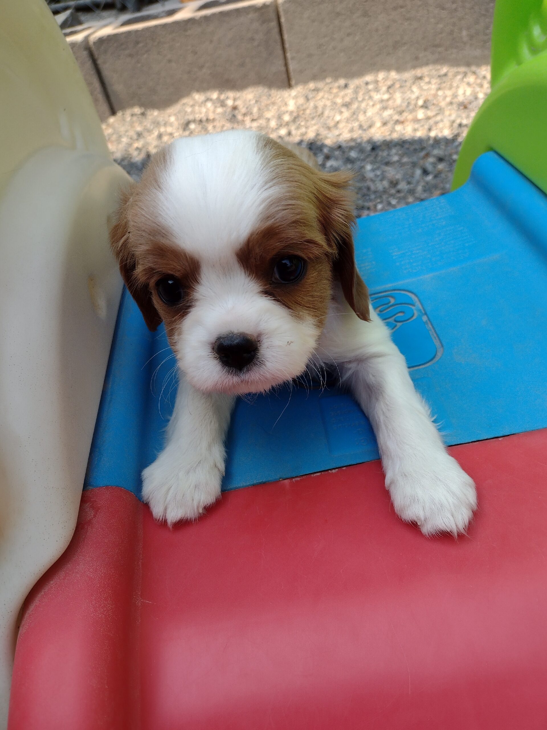 IMG_20220909_124126401