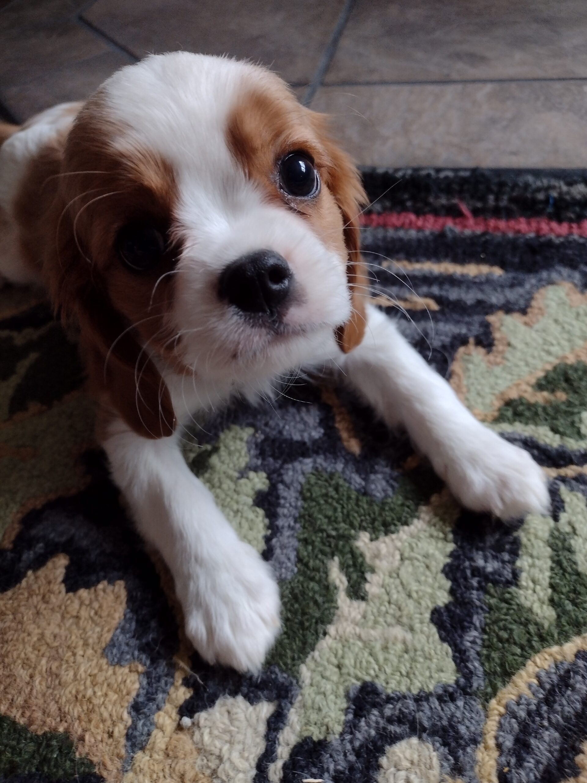 IMG_20220929_145708984