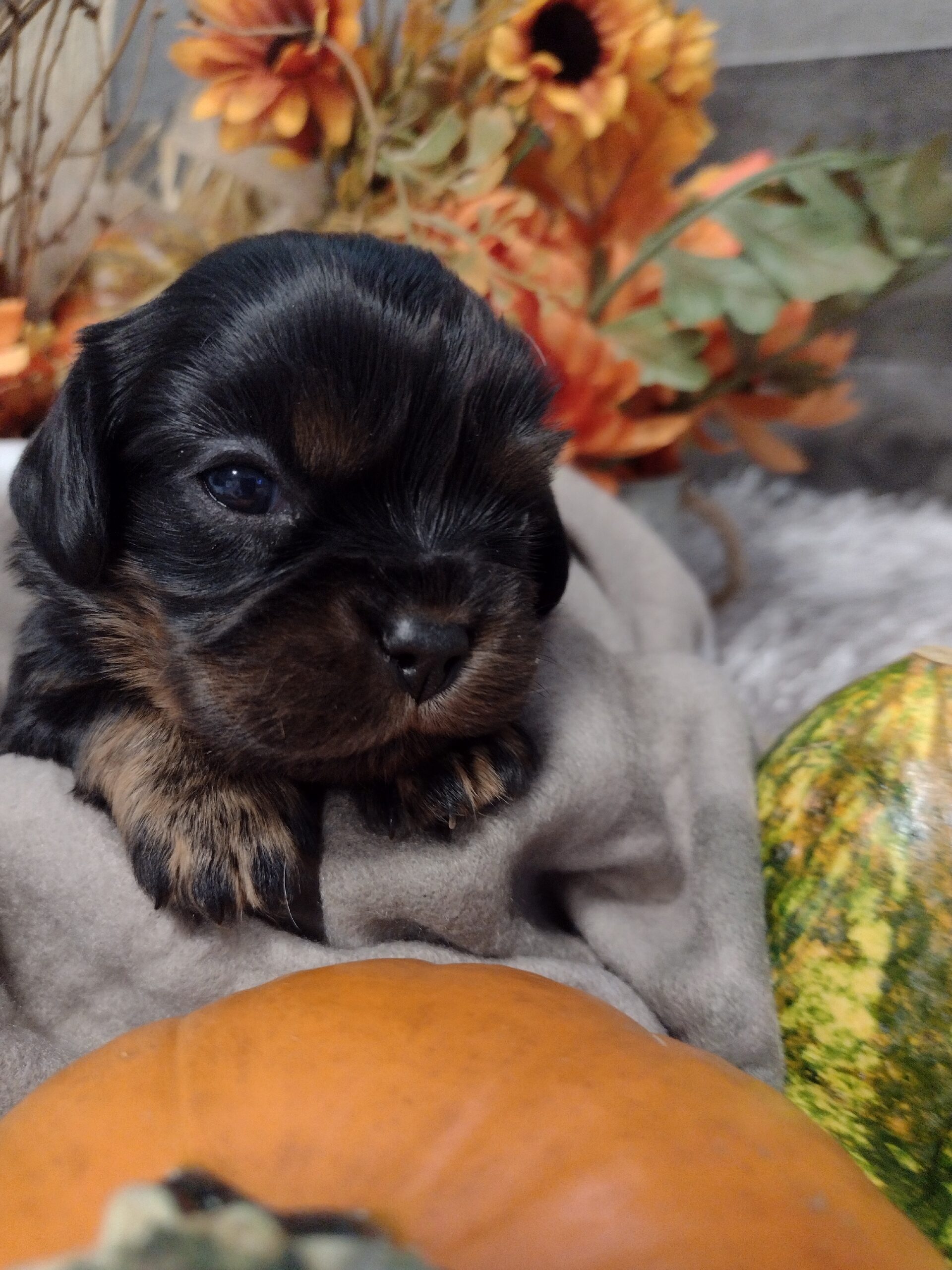 IMG_20221010_135617851