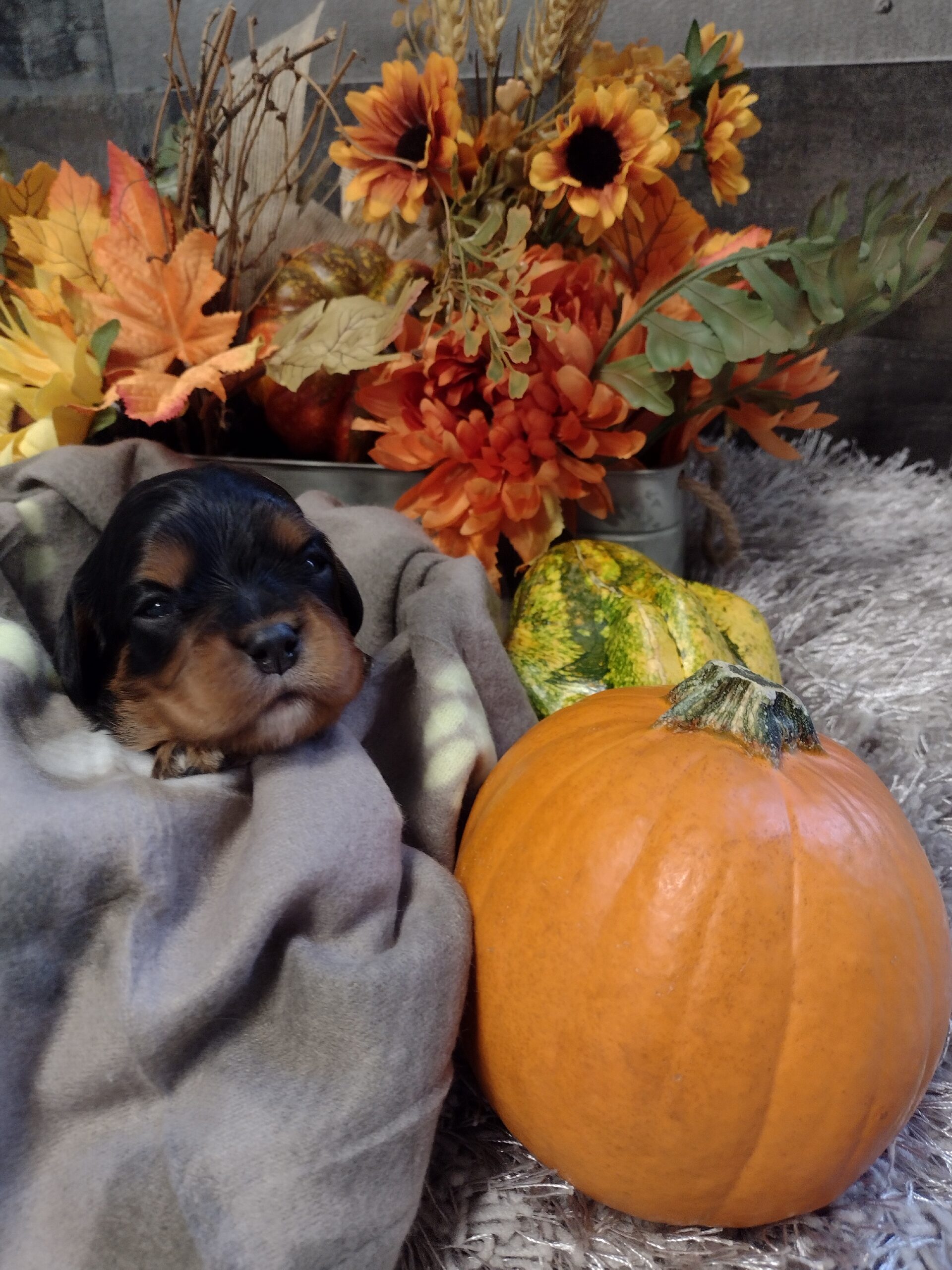 IMG_20221010_141425895