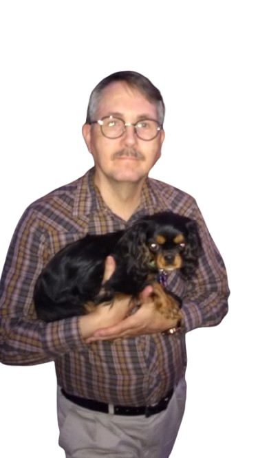 Adult Cavalier King Charles Spaniel