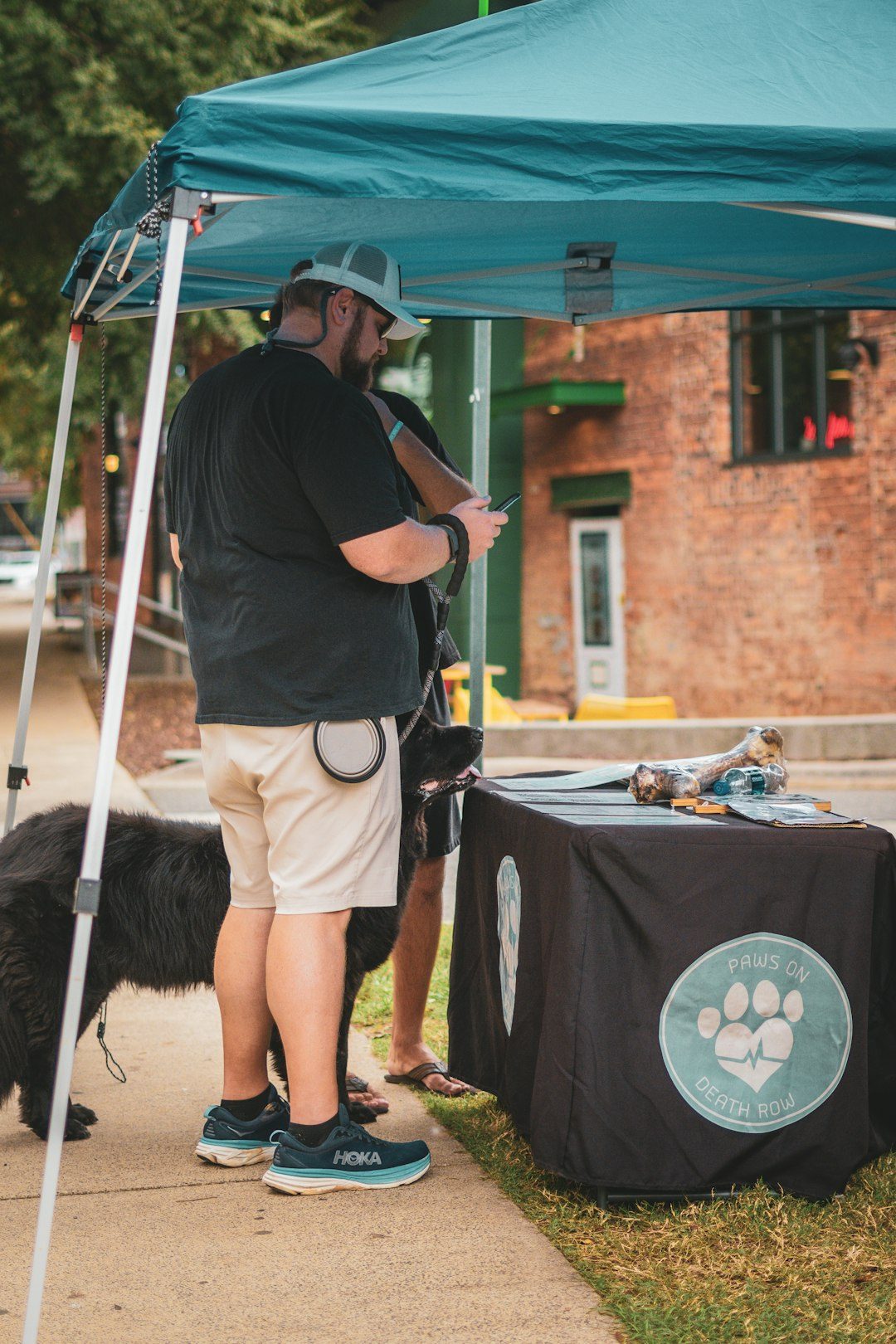 Supporting The Canine Community